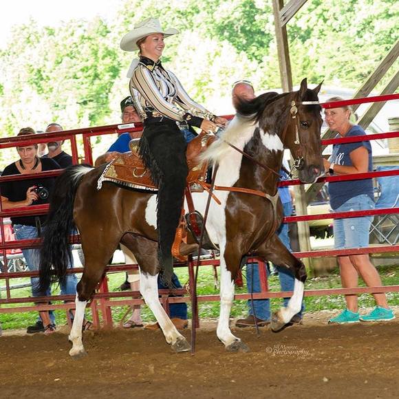 Meet your Posher, Rebecca - Picture 1 of 1